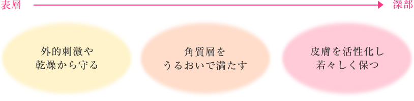 外的刺激や乾燥から守る。角質層をうるおいで満たす。皮膚を活性化さい若若し津保