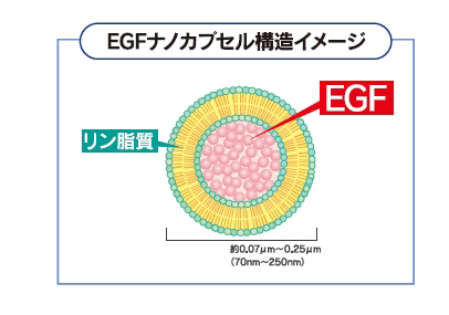 カプセル化による成分の安定性向上・品質保持