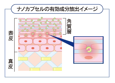 タイムリリース処方で効果が長時間持続