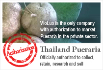 Thailand Pueraria