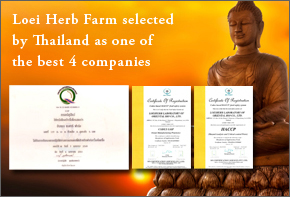 Loei Herb Farm was selected by Thailand as one of the best 4 companies