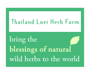VioLux Thailand Loei Herb Farm brings the blessings of natural wild herbs to the world