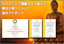ルーイハーブ農園はタイ国より優良企業ベスト4に選定されました