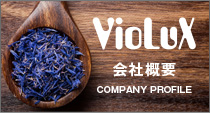 VioLux 会社概要 COMPANY PROFILE