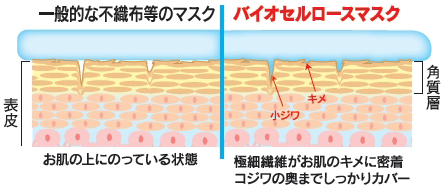 バイオセルロース50000倍、不繊布繊維500倍